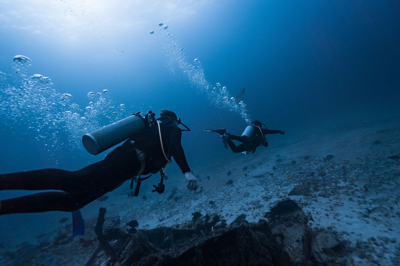 Services Scuba divers exploring the underwater world in Isla Mujeres, Mexico.