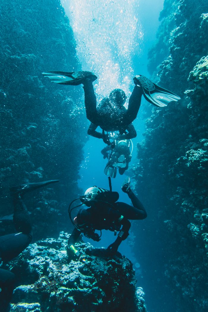 Services Scuba divers exploring a vibrant coral reef canyon, filled with marine life and bubbles.