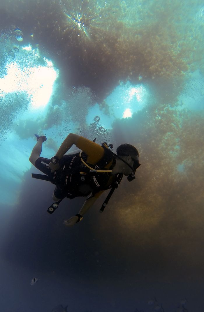 A scuba diver in full gear swims through a vibrant underwater expanse, surrounded by shimmering light.