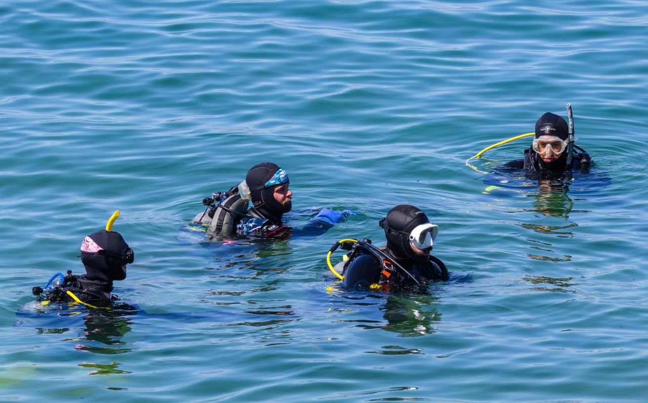 The Art of Drawing Readers In: Your attractive post title goes here A group of four scuba divers in wetsuits on the ocean surface preparing for a dive.